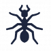 Ant Ant