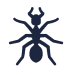 Ant Ant