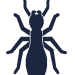 Termites Termites